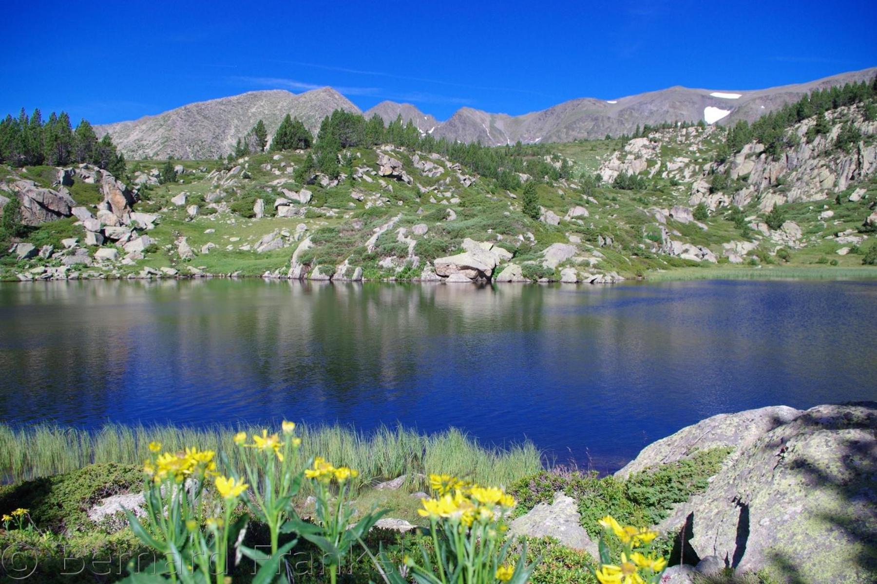 Studio Ecureuil 2 Pers Au Coeur De La Montagne La Llagonne Esterno foto